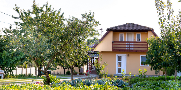 Image Gallery